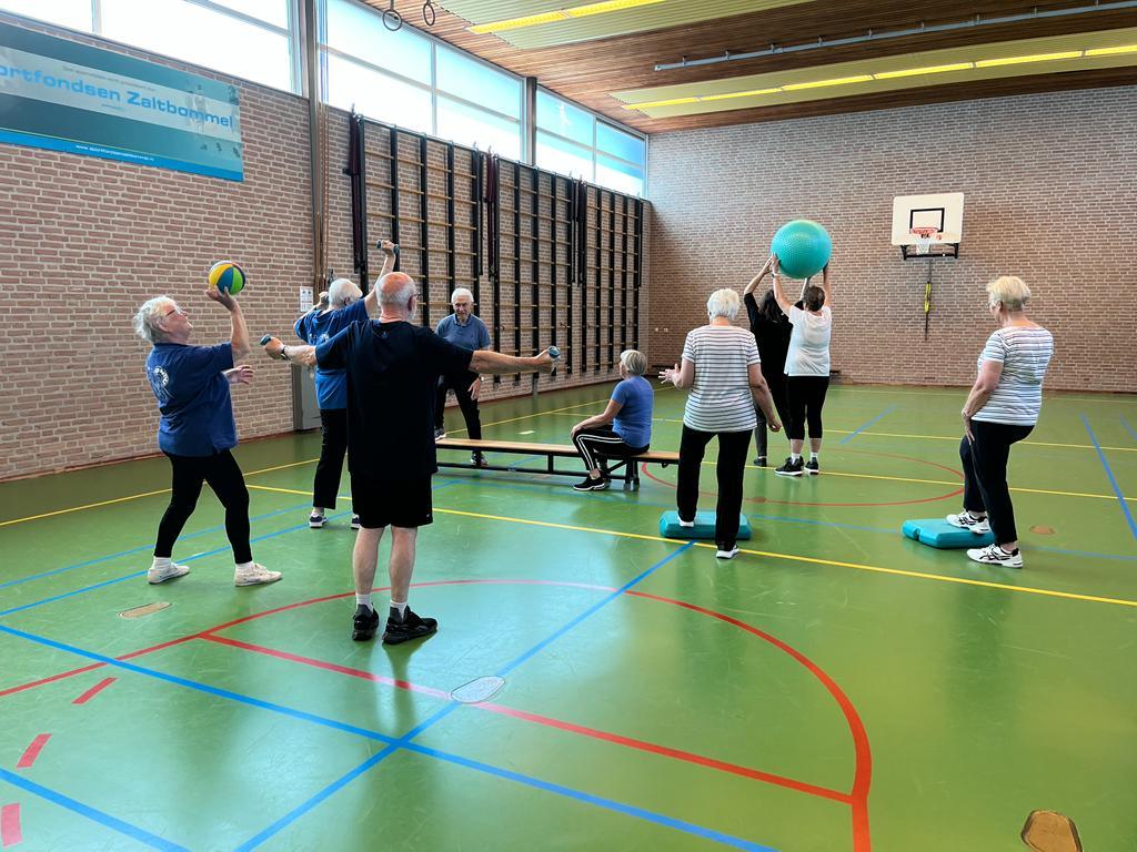 Leden van Senioren Actief tijdens een les in de sportzaal. Een vrouw gooit een bal omhoog, een man oefent met gewichtjes en verderop tilt een vrouw een grote gymbal boven haar hoofd.